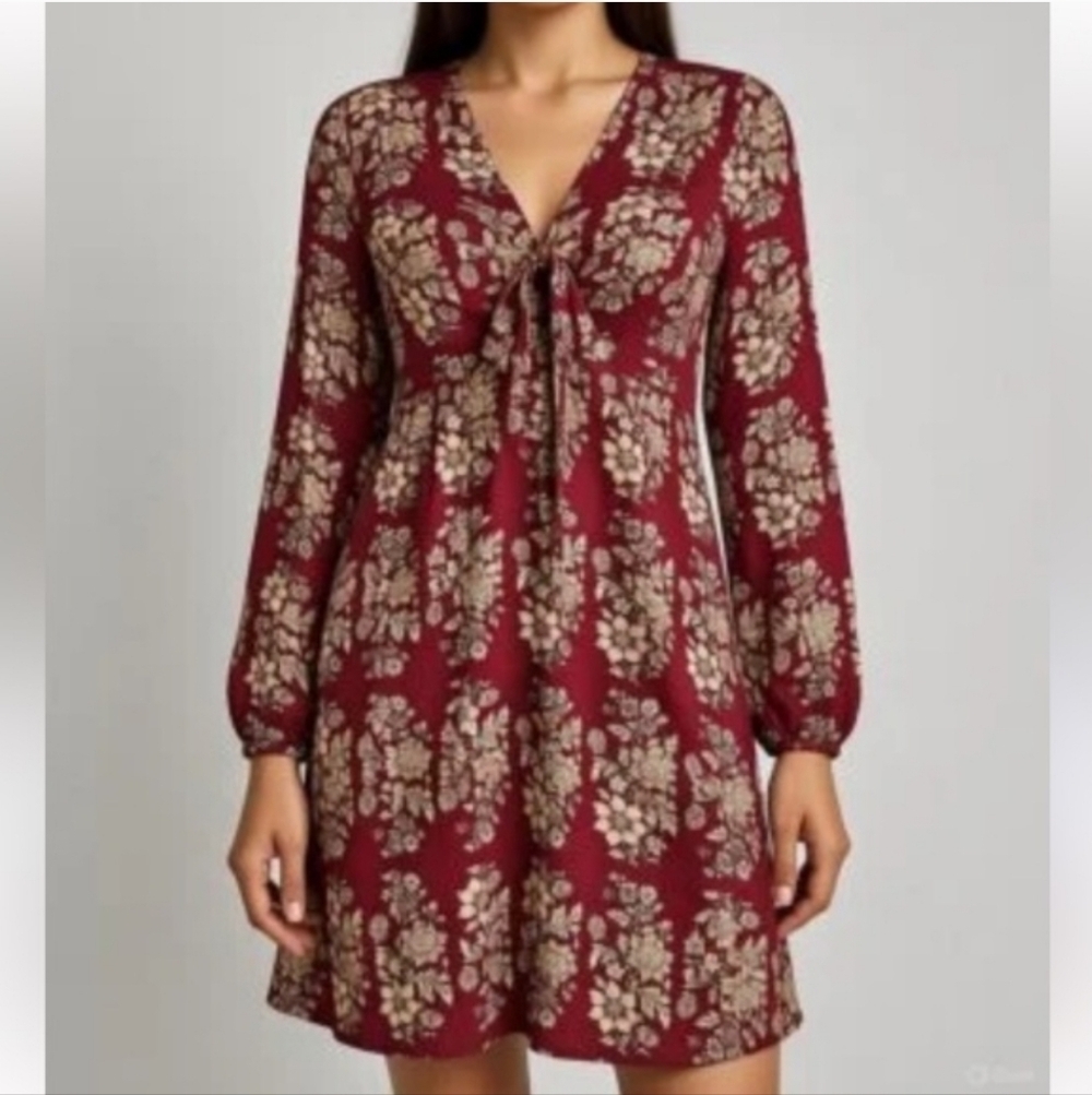 American Eagle Outfitters Burgundy Floral Dress